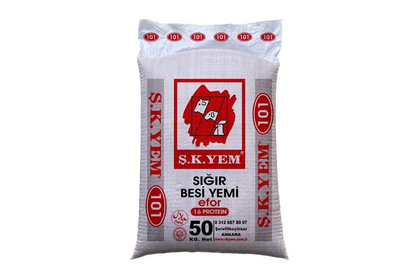 101 Efor Besi Yemi