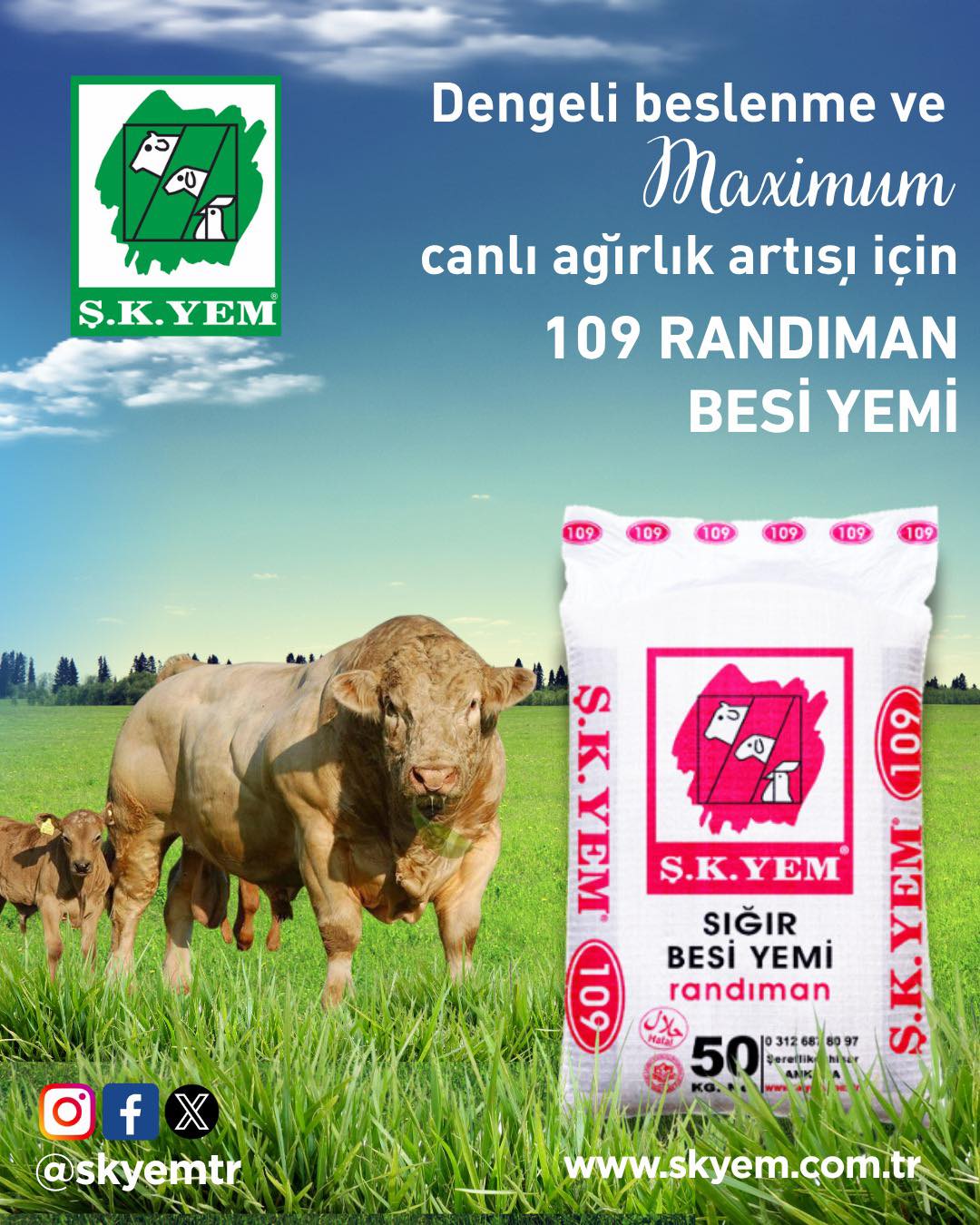 Dengeli Beslenme Ve Maximum Verim İçin 109 Randıman Besi Yemi
