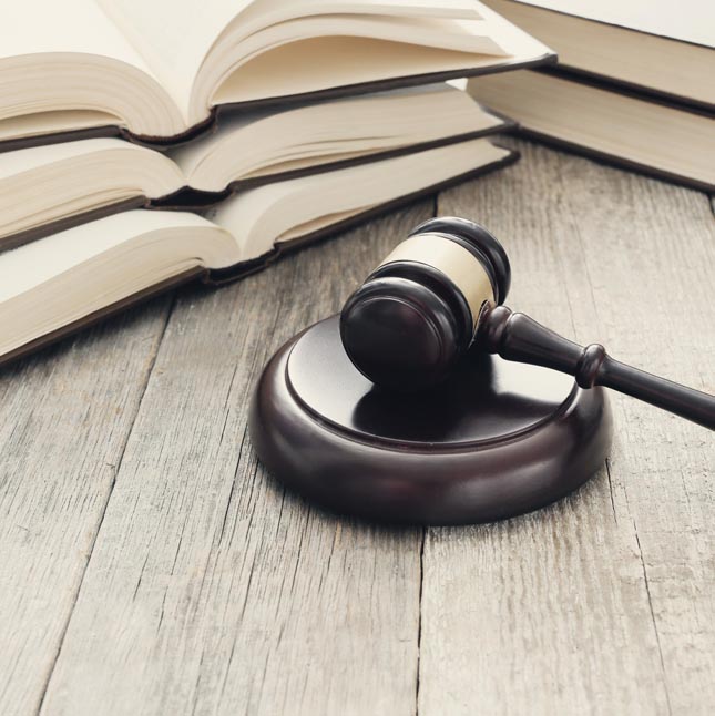 Sekt&ouml;rel Kanunlar